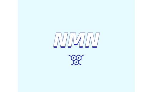 NMN在人工膜中的滲透性表現